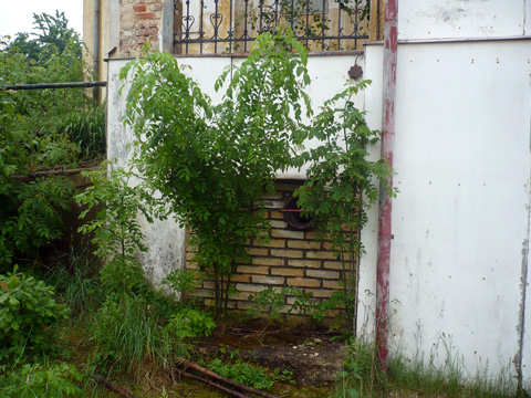 Foto 9